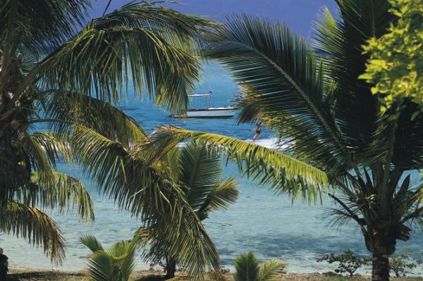 Palm Beach